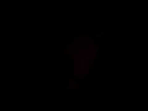 The Freelancers - Tomor Kuci - Microkorg jam