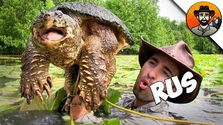 Как и где ловить черепах