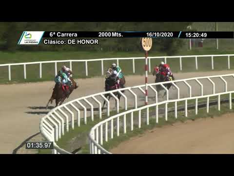 201016 c06 - GRAN PREMIO DE HONOR  - TRANCAFERRO 1º - HIPODROMO LAS PIEDRAS