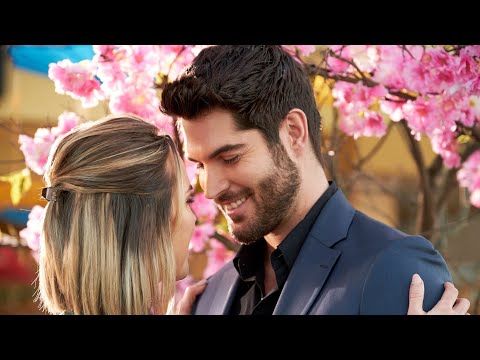 Entre Amores e Cores - Filme Completo Dublado