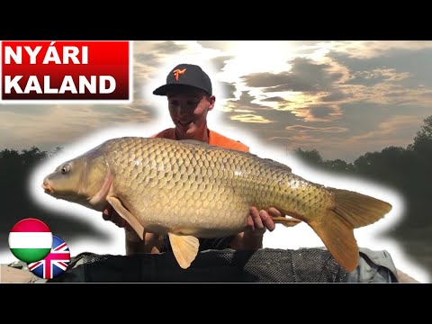 AZ ÖREG NYURGAPONTY - A dévérkeszegek leszelektálása⚡🚙 (9. rész)