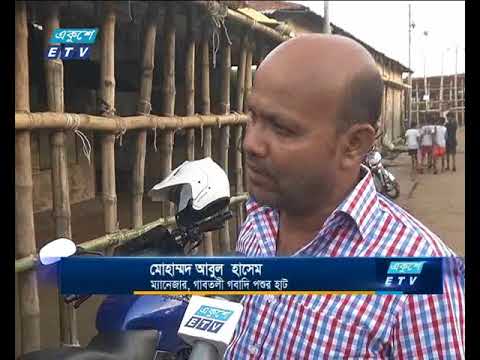 রাজধানীতে কোরবানির পশুর হাট বসছে আগামীকাল
