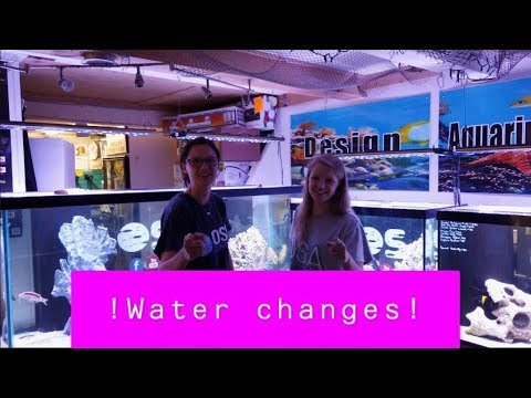 Why water changes are so important !
