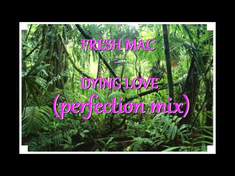 FRESH MAC - DYING LOVE (perfection mix)