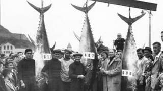 Fieldsports Britain : 1940s film stars and the extraordinary Tunny Club (episode 9)
