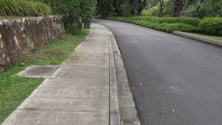 2018年尊孔行之从停车场前往尊孔行场地