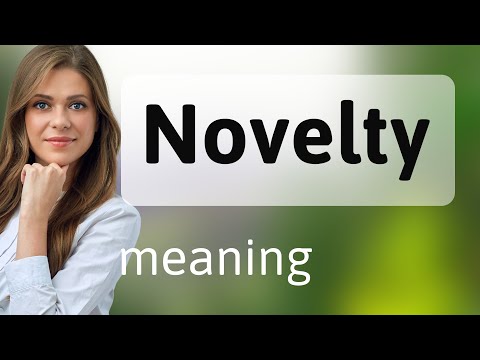 Novelty | definition of NOVELTY