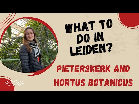 Things to Do in Leiden, the Netherlands 🇳🇱 | Visiting Pieterskerk & Hortus Botanicus