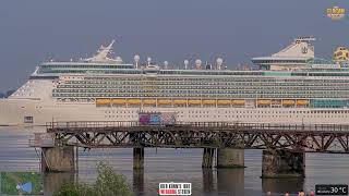 INDEPENDENCE OTS (Independence of the Seas) auf der Elbe – 14.08.2025 | Deichcam