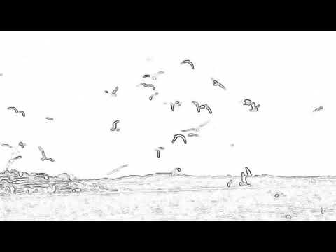 Luca Francesconi Leila Josefwicz DUENDE violin concerto  BBC proms 2015