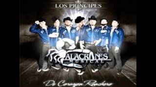 "El Corrido del Chapito" - Alacranes Musical
