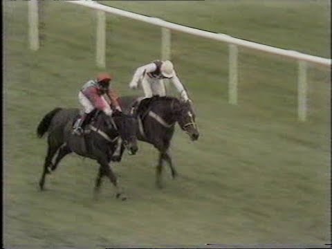 The Golden Age of Champion Hurdles