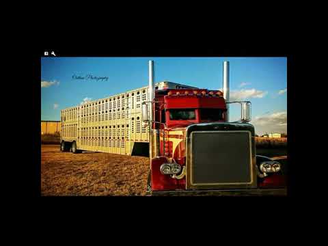 Last Of The Cowboys by Tony Justice