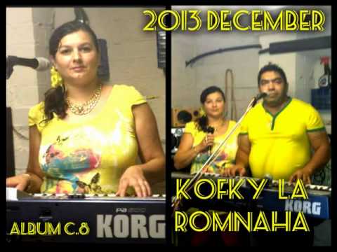 kofky la romnaha 2013 pro sudos džav č 8 DECEMBERE