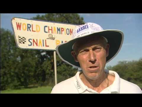 Ready... Steady...Slow! A 'Snail of destruction