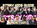 OUR FIRST TIME WATCHING THE COMPLETE GUIDE TO STRAY KIDS