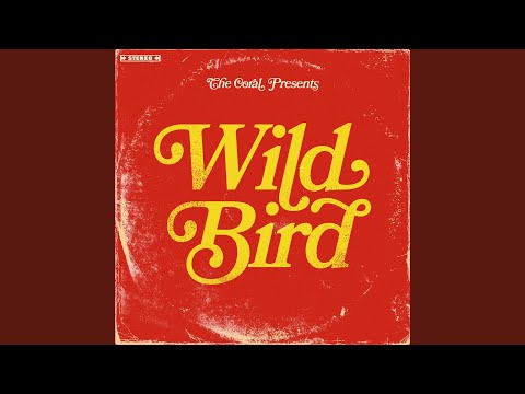 It Was Only Love - The Coral
