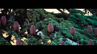 Kızıldağ Milli Parkı Tanıtım Videosu