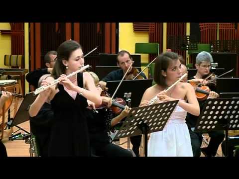 Franz Doppler: Andante és variáció