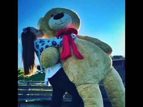 Música:sem hora marcada