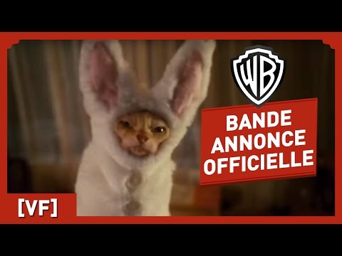 Comme Chiens et Chats 2 : La Revanche de Kitty Galore - Bande Annonce Officielle (VF)