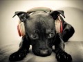 Circus - Britiney Spears (DUBSTEP) 