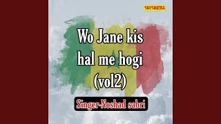 Download lagu Wo Jane Kis Hal Me Hogi 02 mp3