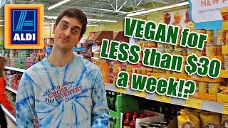Shopping VEGAN on $30 a week: Day 1 of 8