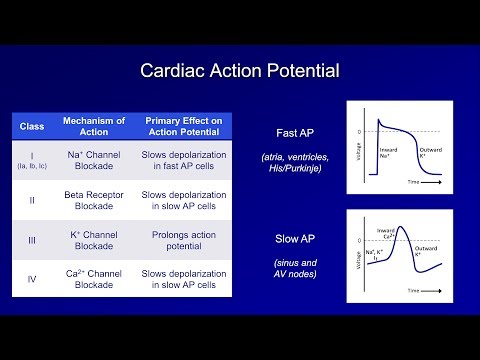 Antiarrhythmics (Lesson 1 - An Introduction)