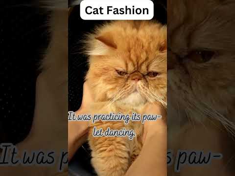 Meow-velously Funny Cat Jokes That Will Make You Purr With Laughter 14