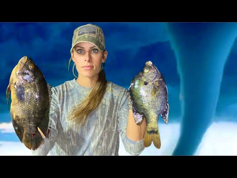 Canal Fishing after Hurricane Milton | EF3 Tornado Ripped Through our Neighborhood