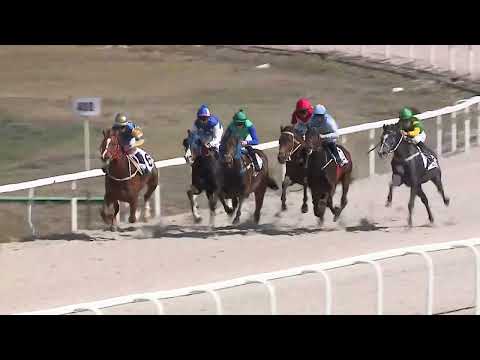 2023.04.02. 01. futam - NYERETLENEK VERSENYE (V.kat.)(szintetikus pálya)