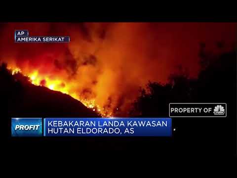 Kebakaran 3000 Hektar Landa Kawasan  Hutan Eldorado di AS