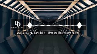 Chris Lake - I Want You (Andre Longo Bootleg) | DD MUSIC