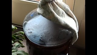 The World's Easiest Homemade WINE from Grape Juice