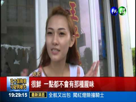 可火烤可生吃 澎湖馬糞海膽超夯