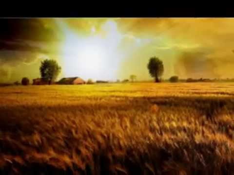 Paola Castellano / Mare maje (amara me)