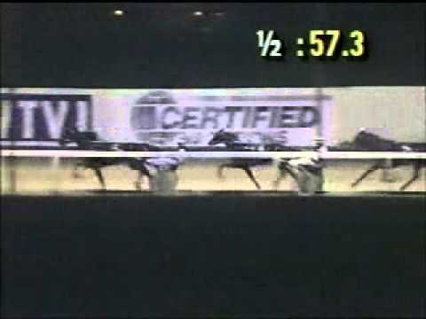 1989 Breeders Crown 3yo Filly Trot Peace Corps