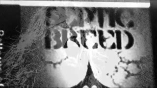 The Forsaken - Reapers Chamber