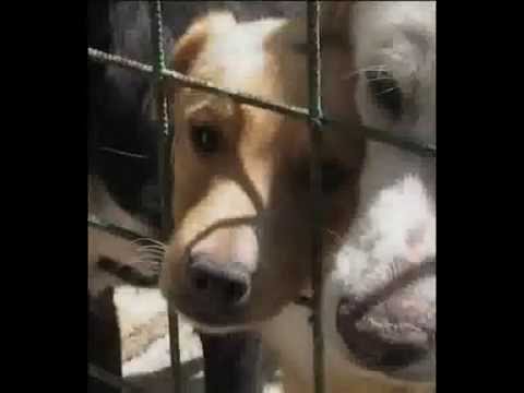 WE ARE NOT HAPPY SANNICANDRO DI BARI