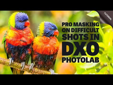 DXO Photolab - Five Power Masking Techniques