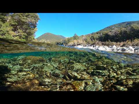 Fly Fishing Remote Rugged NZ Valley with HUGE Brown Trout