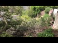 IMG 4084