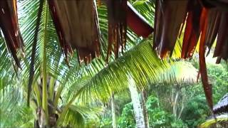 Five Minutes of Rain