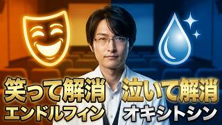映画でストレス解消できる理由！脳科学が明かす驚きの没入効果【まとめ355】【脳科学/行動経済学】