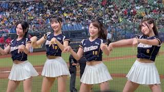 【 Passion Sisters 】#妮可#白白#曼容#君白#韓式應援舞#台湾チアリーディングチーム チーム#中華職棒#CPBL#洲際棒球場#20240827