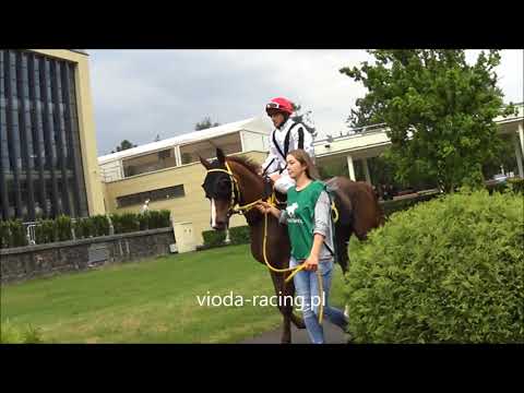 Gon. VII - 12.05.2019 - Anood Al Khalediah (Nayef Al Khalidiah - Shaza Al   Khalediah)