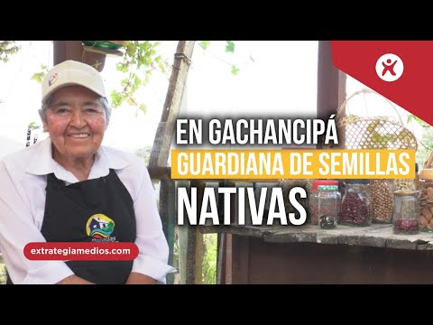Preservando raíces, la historia detrás del Museo Campesino en Gachancipá, Cundinamarca