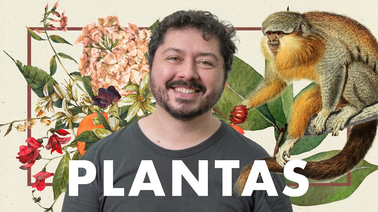 Como as plantas transformaram a medicina