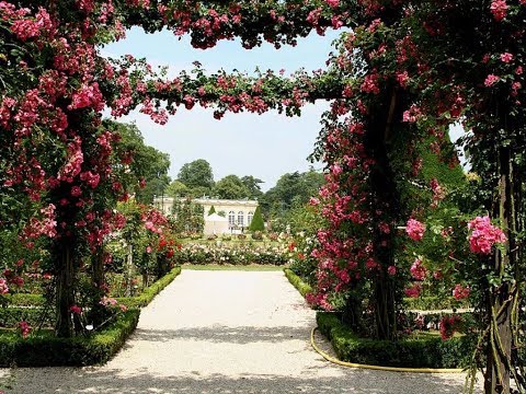 download lagu mp3 mp4 Rose Garden Logo, download lagu Rose Garden Logo gratis, unduh video klip Rose Garden Logo